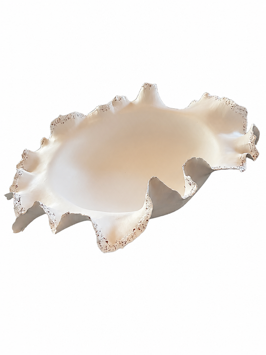 Plat "Pavlova"